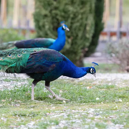 Ca'novae - Tuscany Bed & Breakfast *